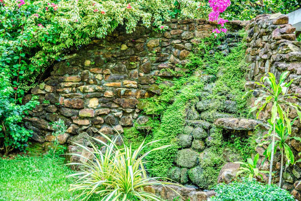 a green rock garden bigger picture